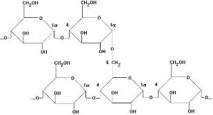 Kohlenhydrate